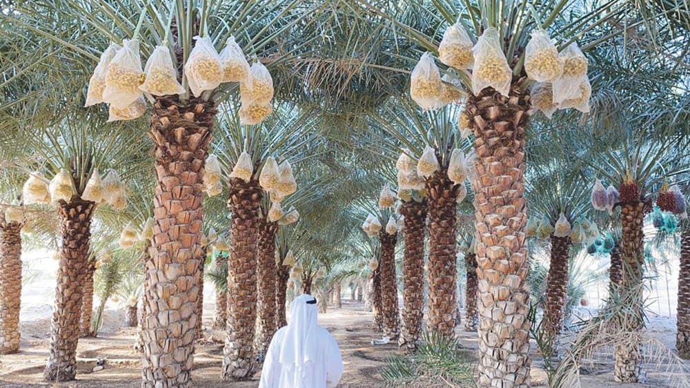 Architectural Marvels gallery image 1