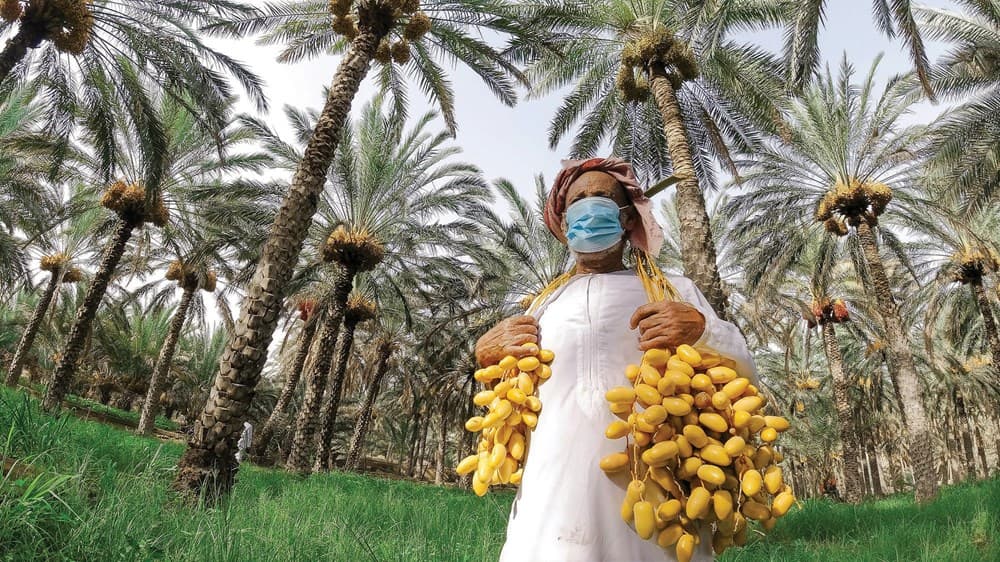 Architectural Marvels gallery image 2