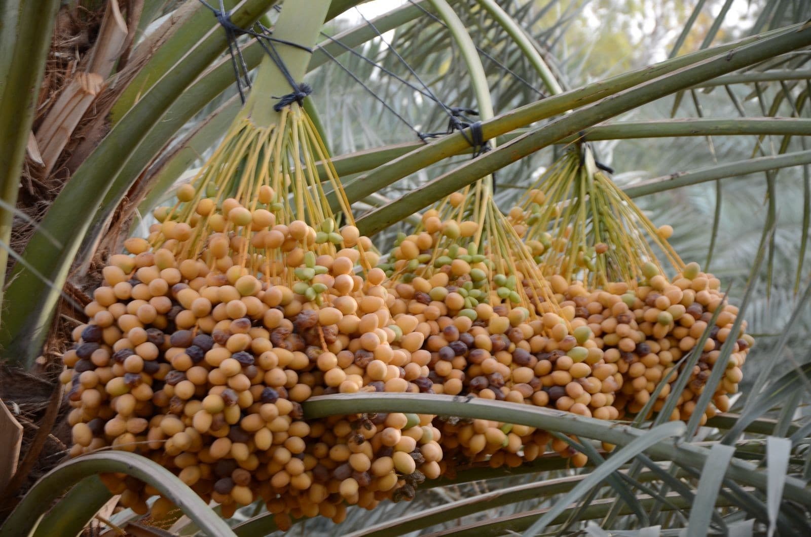 Architectural Marvels gallery image 4